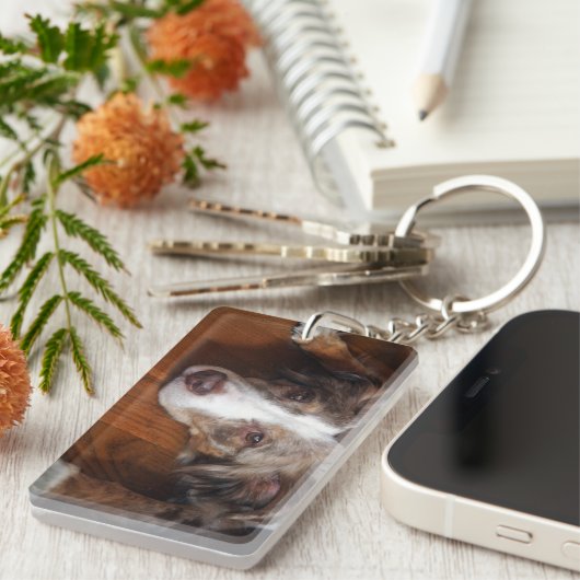 オーストラリアの羊飼い赤いメルレ敷設フラット キーホルダー (正面右)