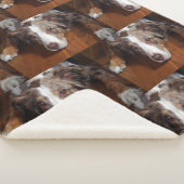 オーストラリアの羊飼い赤いメルレ敷設フラット シェルパブランケット (3/4)