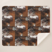 オーストラリアの羊飼い赤いメルレ敷設フラット シェルパブランケット (正面(横))