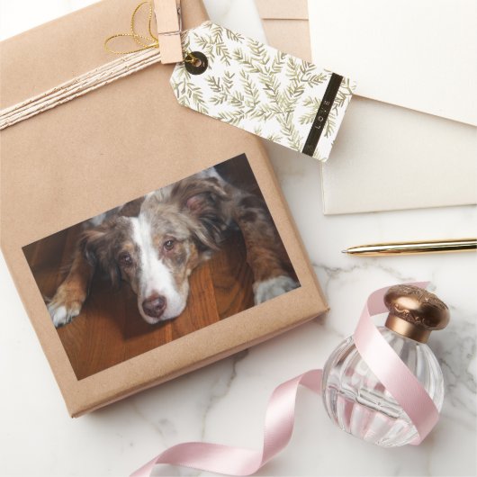 オーストラリアの羊飼い赤いメルレ敷設フラット 長方形シール (ギフト)