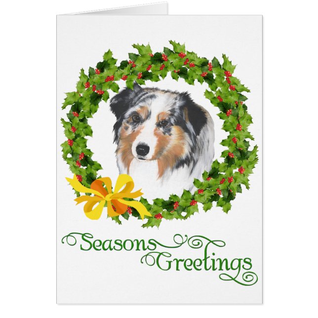 オーストラリアの羊飼い (正面)