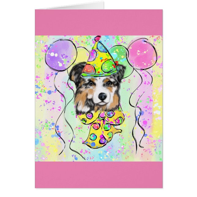 オーストラリアの羊飼い (正面)