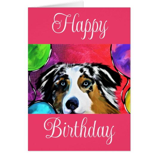 オーストラリアの羊飼い (正面)