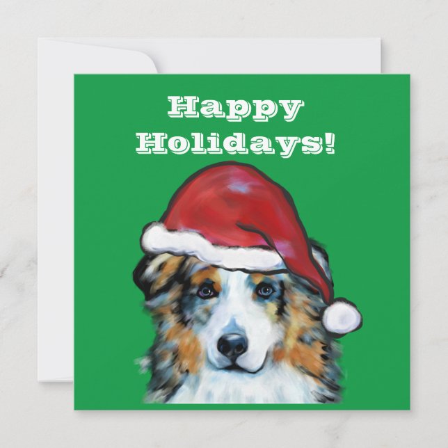 オーストラリアの羊飼い (正面)