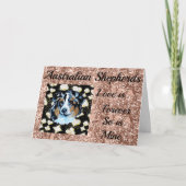 オーストラリアの羊飼い カード (正面)