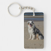 オーストラリアの羊飼い キーホルダー (正面)