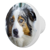 オーストラリアの羊飼い セラミックノブ (右)