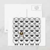 オーストラリアの羊飼い ポストカード (正面/裏面)