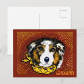 オーストラリアの羊飼い ポストカード (正面/裏面)