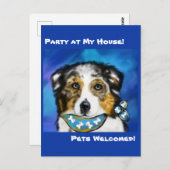 オーストラリアの羊飼い ポストカード (正面/裏面)