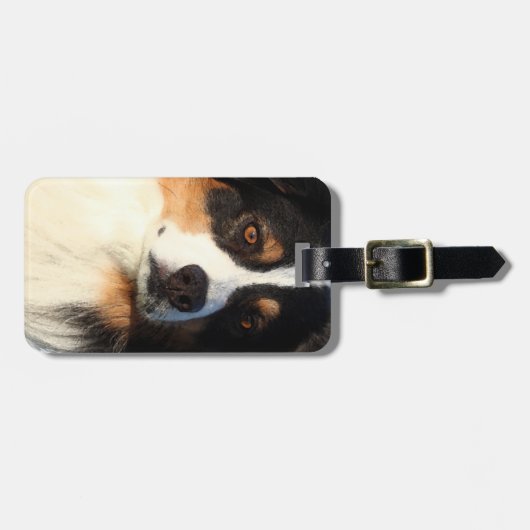 オーストラリアの羊飼い ラゲッジタグ (正面横)