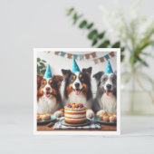 オーストラリアの羊飼い、犬の誕生日カード、犬 招待状 (スタンド正面)