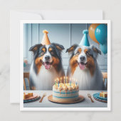 オーストラリアの羊飼い、犬の誕生日カード、犬 招待状 (正面)