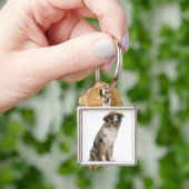 オーストラリアの羊飼い(10か月古い)身に着けているa キーホルダー (手)