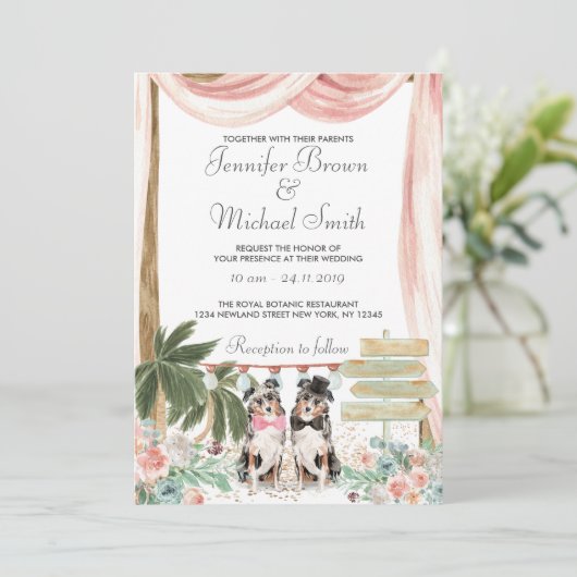 オーストラリアの羊飼素朴い犬 招待状 (スタンド正面)