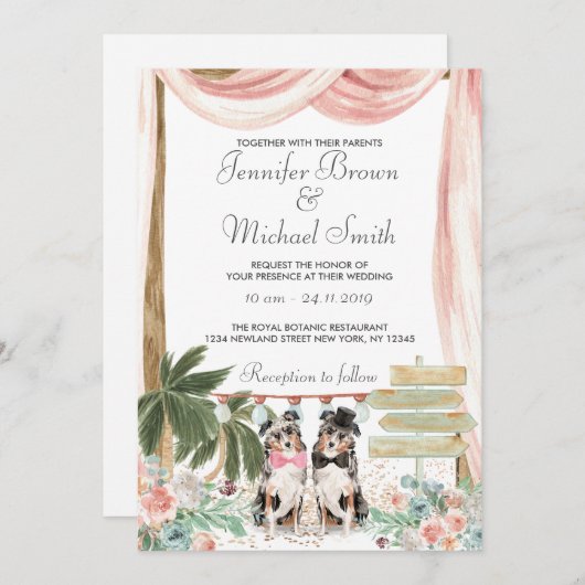 オーストラリアの羊飼素朴い犬 招待状 (正面/裏面)