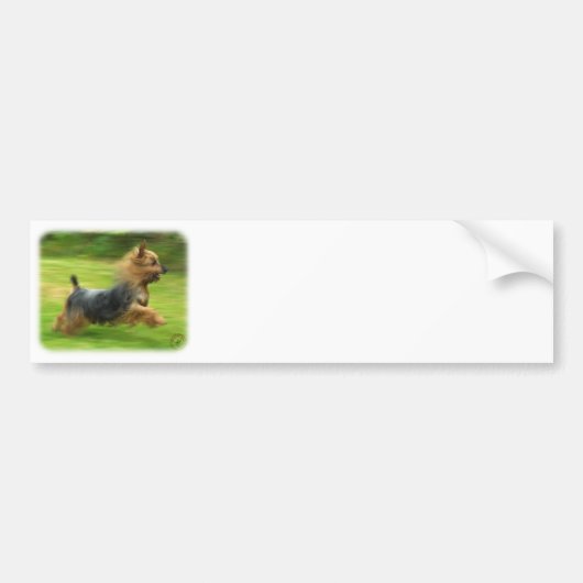 オーストラリアの膚触りがよいテリアのデザイン バンパーステッカー (正面)