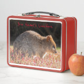 オーストラリアの花が咲く可愛くて幸せなクッカス メタルランチボックス (インサイチュ)