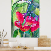 オーストラリアの赤い開花ガムナッツの水彩画 ポスター (キッチン)