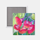 オーストラリアの赤い開花グムナッツの水のカラーアート マグネット (正面/裏面)