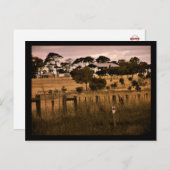 オーストラリアの道端はがき ポストカード (正面/裏面)