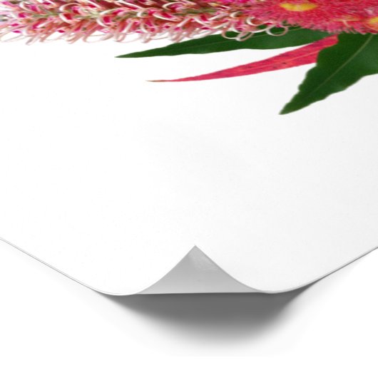 オーストラリアの野生の花の花束 ポスター (角)