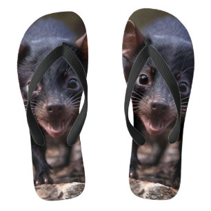 オーストラリアの野生の若いタスマニアの悪魔 ビーチサンダル