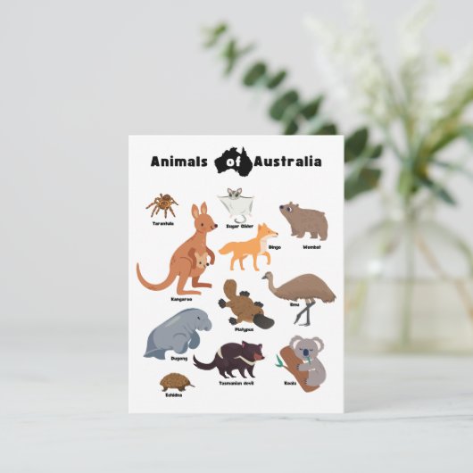 オーストラリアの野生動物 (スタンド正面)