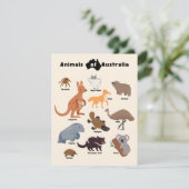 オーストラリアの野生動物 (スタンド正面)