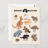 オーストラリアの野生動物 ポストカード (正面/裏面)