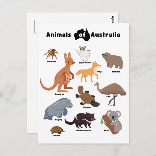 オーストラリアの野生動物 ポストカード (正面/裏面)