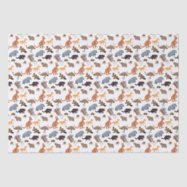 オーストラリアの野生動物 薄葉紙