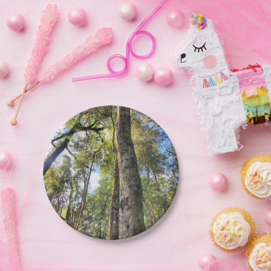 オーストラリアの雨林のユーカリゴムの木 ペーパープレート (パーティー)