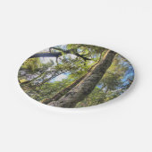 オーストラリアの雨林のユーカリゴムの木 ペーパープレート (アングル)