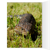 オーストラリアの青い舌トカゲ，誕生日カード (内側(左))