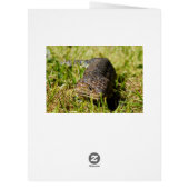 オーストラリアの青い舌トカゲ，誕生日カード (裏面)