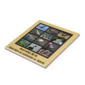 オーストラリアの鳥 タイル (側面)