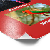 オーストラリアの鳥 フォトプリント            (角)