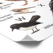 オーストラリアの鳥 ポスター (角)