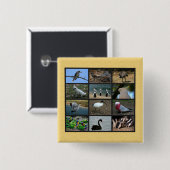 オーストラリアの鳥 缶バッジ (正面&裏面)