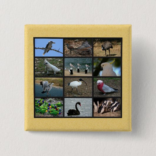 オーストラリアの鳥 缶バッジ (正面)