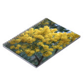 オーストラリアの黄色のワットル ツリー,  ノートブック (左側)