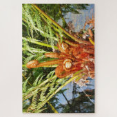 オーストラリアのDandenong Rangesの木のシダの新しい成長 ジグソーパズル (縦)