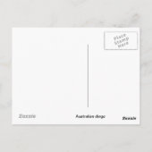 オーストラリアのDingoはがき ポストカード (裏面)