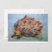 オーストラリアのechidna ポストカード (正面/裏面)