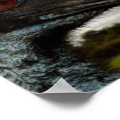 オーストラリアのEmuは接戦。ポスター ポスター (角)