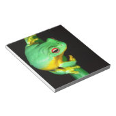 オーストラリアアカメアマガエル, Litoria chloris, ノートパッド (アングル)