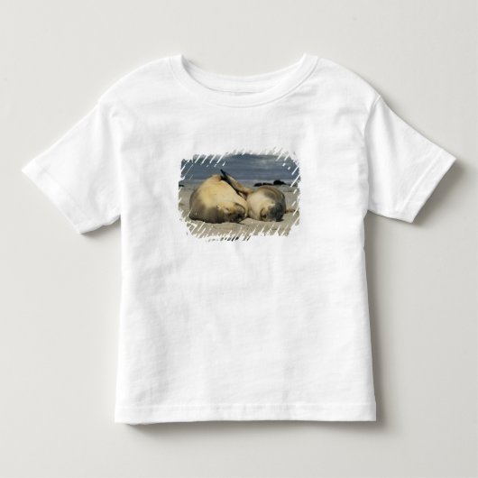 オーストラリアアシカ (Neophoca cinerea) トドラーTシャツ (正面)