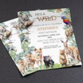 オーストラリアアニマルワイルドワン誕生日カンガルー