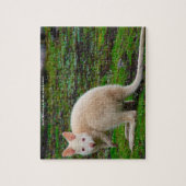 オーストラリアアルビノカンガロ ジグソーパズル (縦)